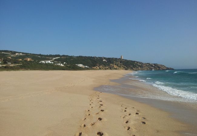 Barbaria - Playa Faro Camarinal