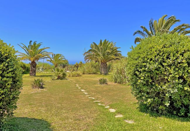 La Caleta - Jardn-cancelaplaya