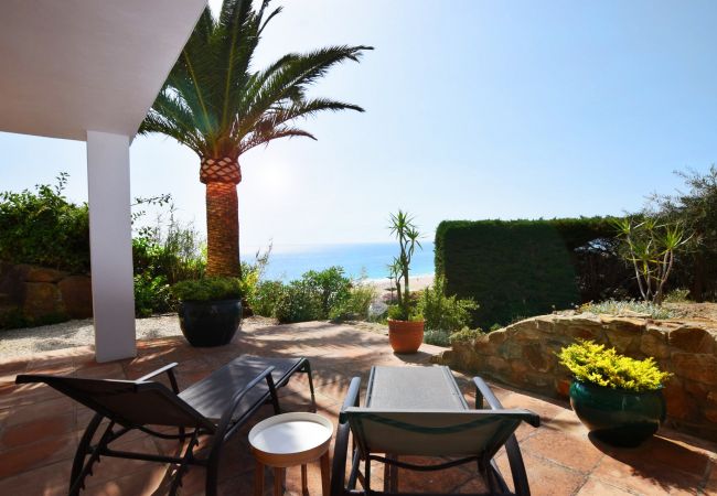 Buddha - 1497890071262f8076db4fc0354867f956784a4c19Copiar